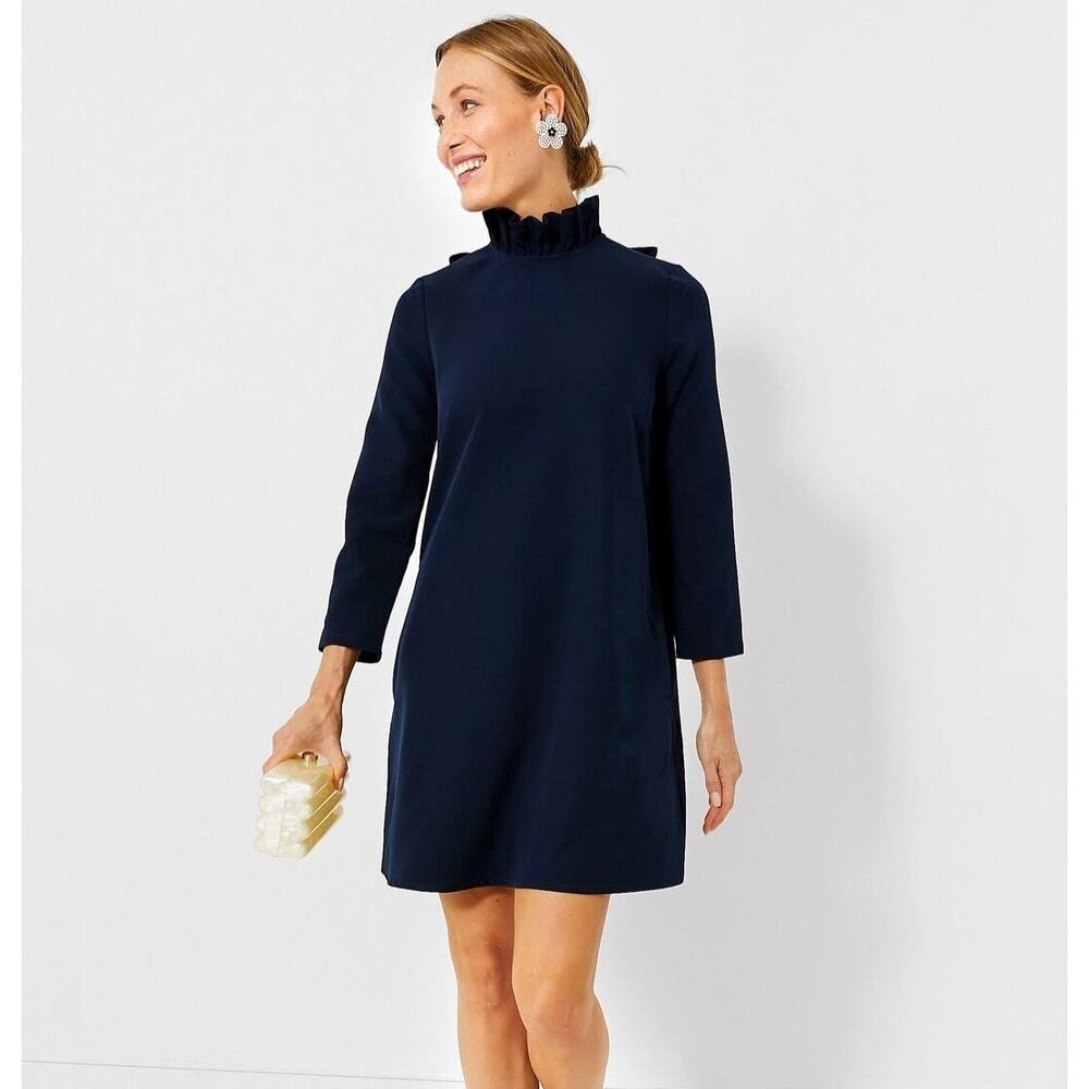 Tuckernuck Navy Ruffle Mock-Neck Mini Dress